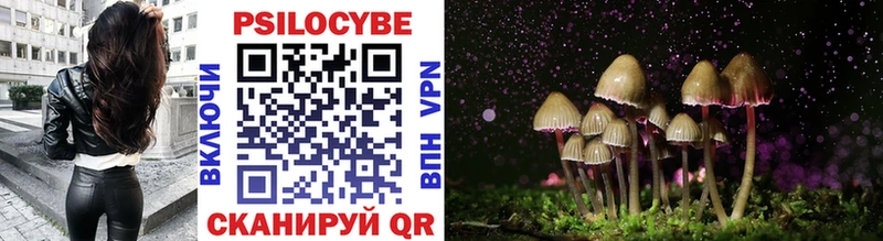 Галлюциногенные грибы GOLDEN TEACHER  купить   Торопец 